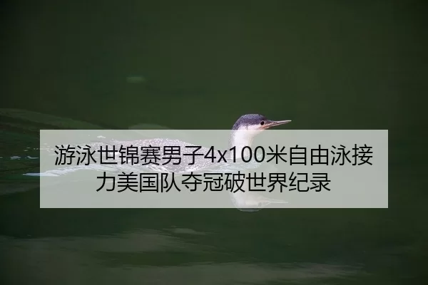 游泳世锦赛男子4x100米自由泳接力美国队夺冠破世界纪录